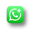 Pesan Rebepal Madu melalui WhatsApp